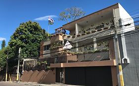 帕尔米拉旅馆